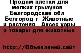 Продам клетки для мелких грызунов - Белгородская обл., Белгород г. Животные и растения » Аксесcуары и товары для животных   